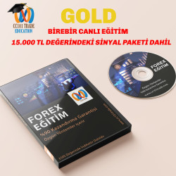 Birebir Forex Eğitim (canlı eğitim )