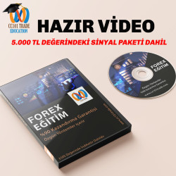 Birebir Forex Eğitim (canlı eğitim )